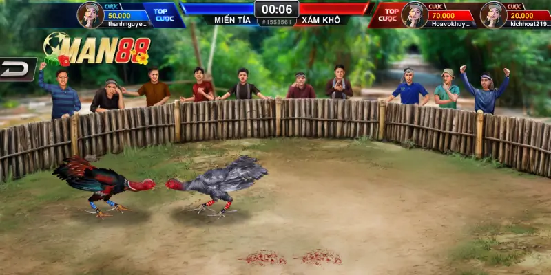 Lưu ý cần nhớ khi tham gia Đá gà tại Man88